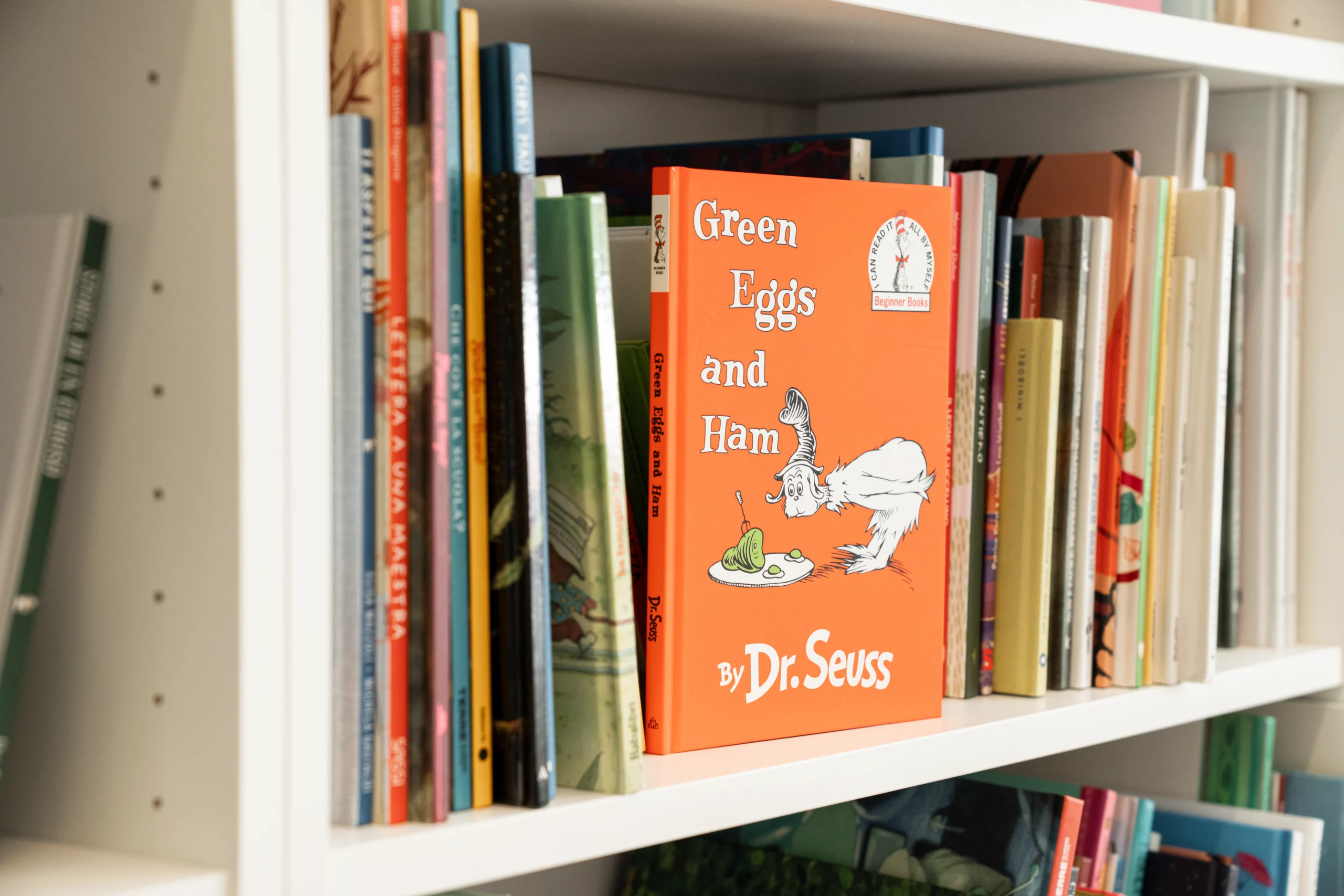 Imparare l’Inglese: libri illustrati per iniziare